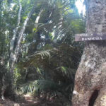 Praça da Bandeira