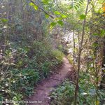 Caminho da Pedra do Macaco Maricá
