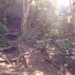 caminho-pedra-do-macaco-marica-2