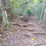caminho-pedra-do-macaco-marica-3