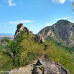 cume da pedra do macaco