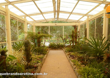 Bromeliário no Jardim Botânico do Rio de Janeiro