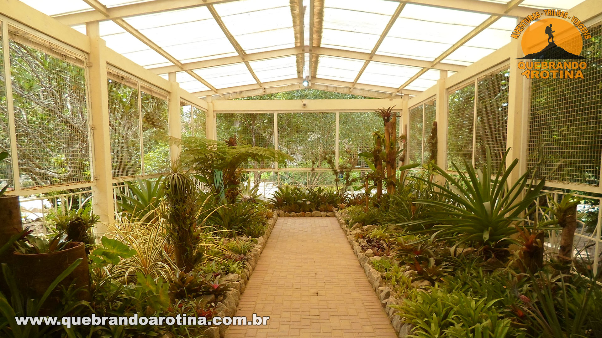 Bromeliário no Jardim Botânico do Rio de Janeiro