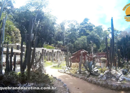 Cactário Jardim Botânico