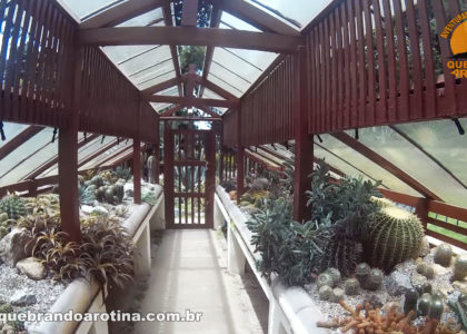Estufa dos Cactos Jardim Botânico
