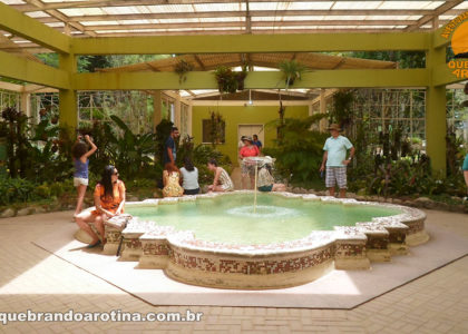 Fonte no Bromeliário no Jardim Botânico
