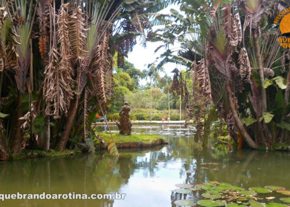 Lago das Vitórias Régias Jardim Botânico RJ