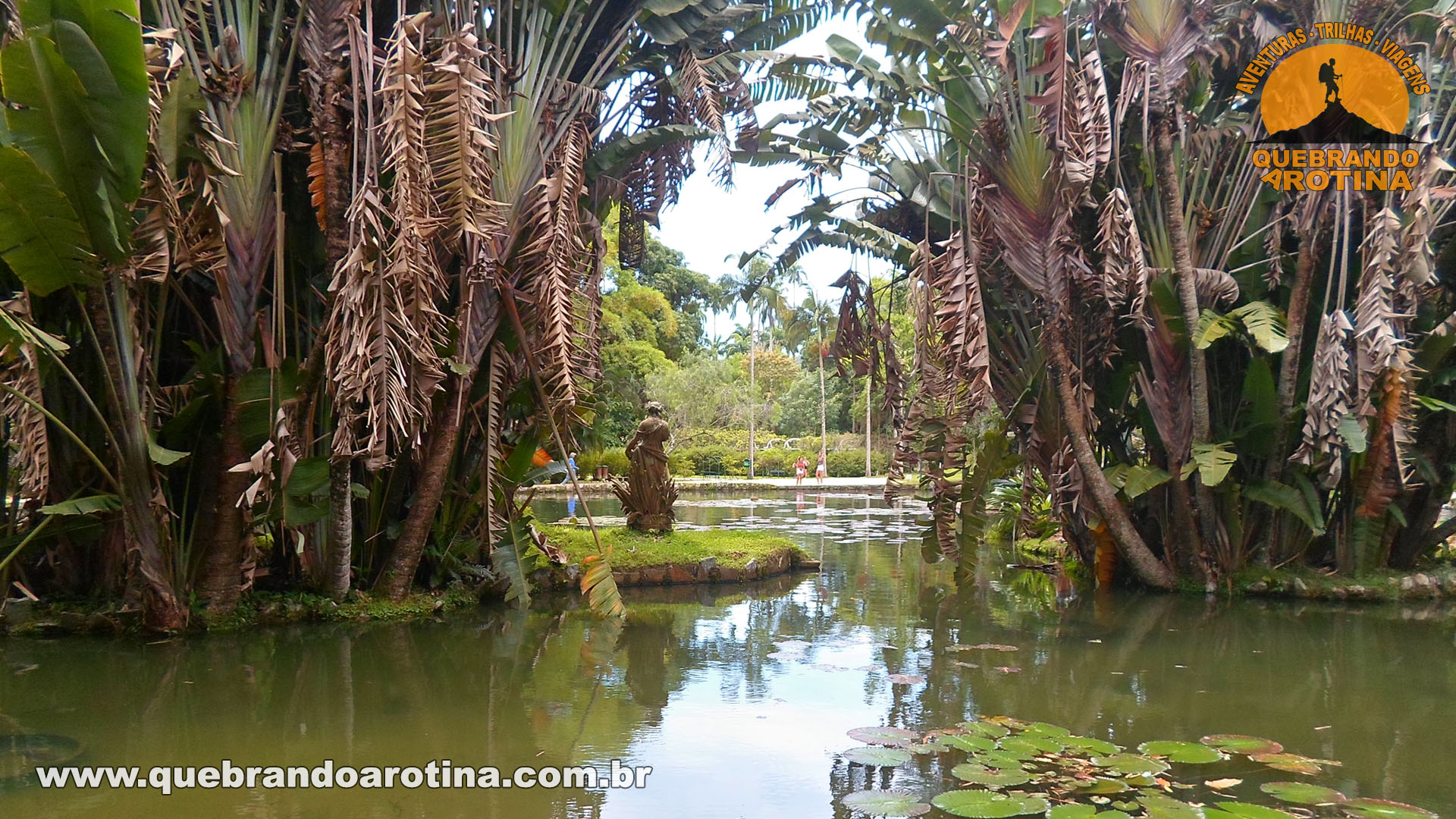 Lago das Vitórias Régias Jardim Botânico RJ