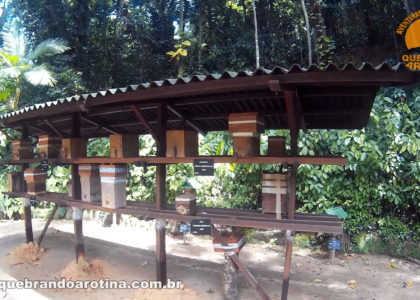 Meliponário Jardim Botânico
