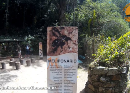 Meliponário Jardim Botânico RJ