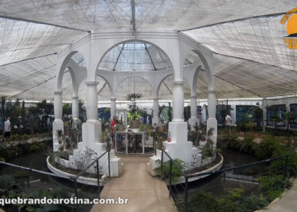 Orquidário Jardim Botânico