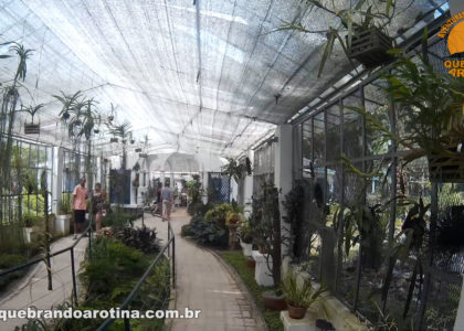 Orquidário Jardim Botânico Rio de Janeiro