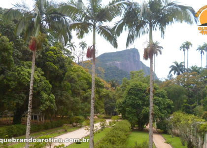 Vista do Jardim Botânico