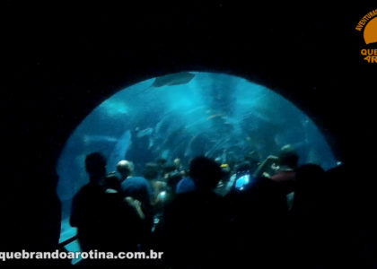 Grande Tanque do Aquário do Rio de Janeiro