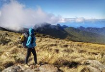 Pico Camapuã, Dicas, Roteiro, Fotos e Como Chegar. Trekking ao Pico Camapuã