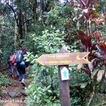 Inicio da trilha para o Pico da Pedra Branca