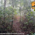 Trajeto para o Pico da Pedra Branca