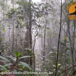 Trajeto para o Pico da Pedra Branca