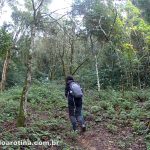 Trajeto para o Pico da Pedra Branca