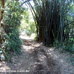 Trilha Cachoeiras de Macacu