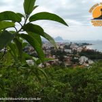 trilha do morro do rangel caminho