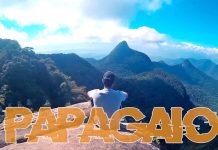 Trilha Bico do Papagaio Floresta da Tijuca – CINEMATIC VLOG