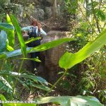 Percurso Pedra da Gávea P4