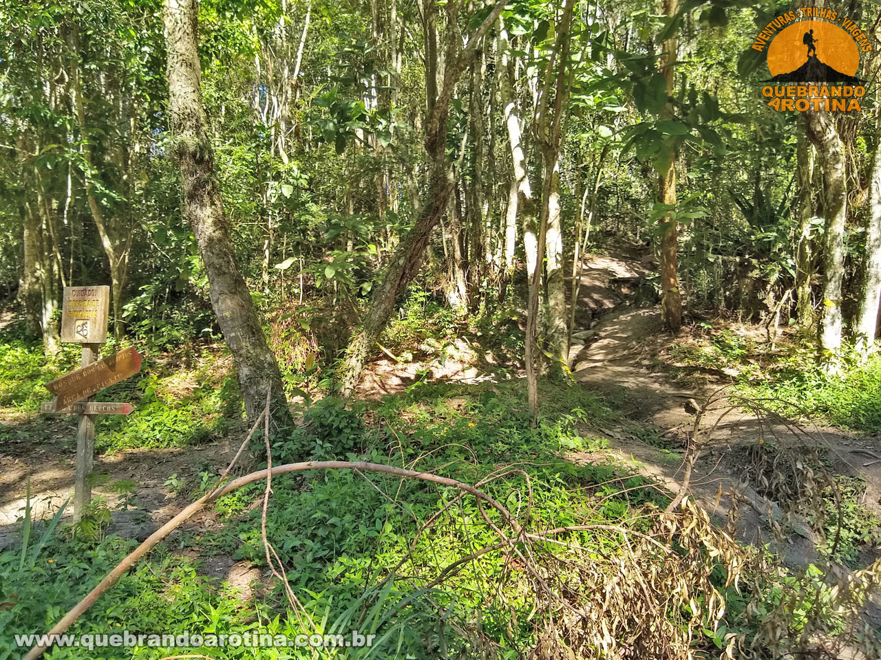 inicio da trilha bosque dos eucaliptos niteroi rj