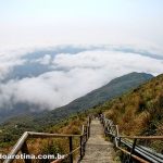 escadas-da-trilha-do-pico-da-caledonia