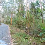 estrada para o pico da caledonia