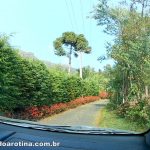 estrada para o pico da caledonia