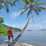 coqueiro da ilha de jaguanum