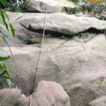 ponto de corda na pedra do elefante de teresopolis