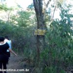 trajeto trilha alto do gaia