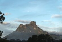 Trilha Para o Pico da Neblina Maior Montanha do Brasil pico da neblina