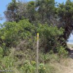 fazenda roberto marinho trajeto para praia