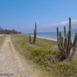 fazenda roberto marinho trajeto para praia