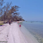 praia fazenda roberto marinho