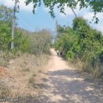 trilha fazenda roberto marinho