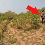 trajeto para o mirante da cabloca